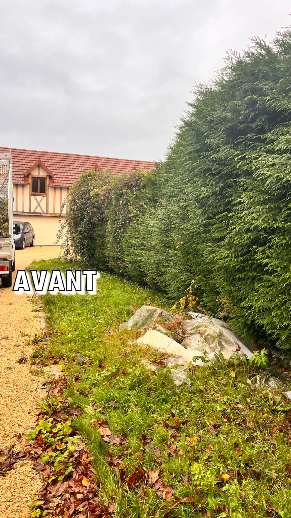 Haie après intervention dans un jardin