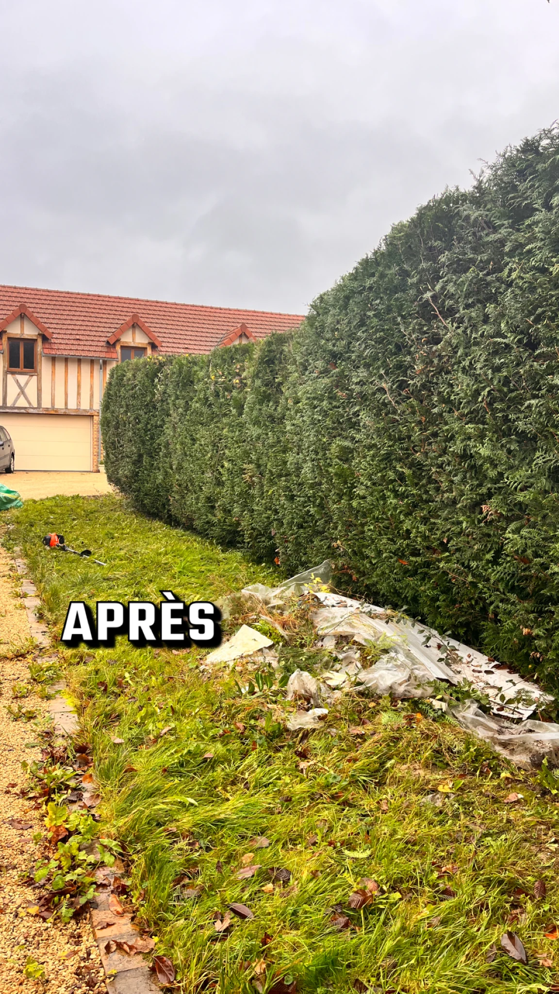 Haie taillée après intervention