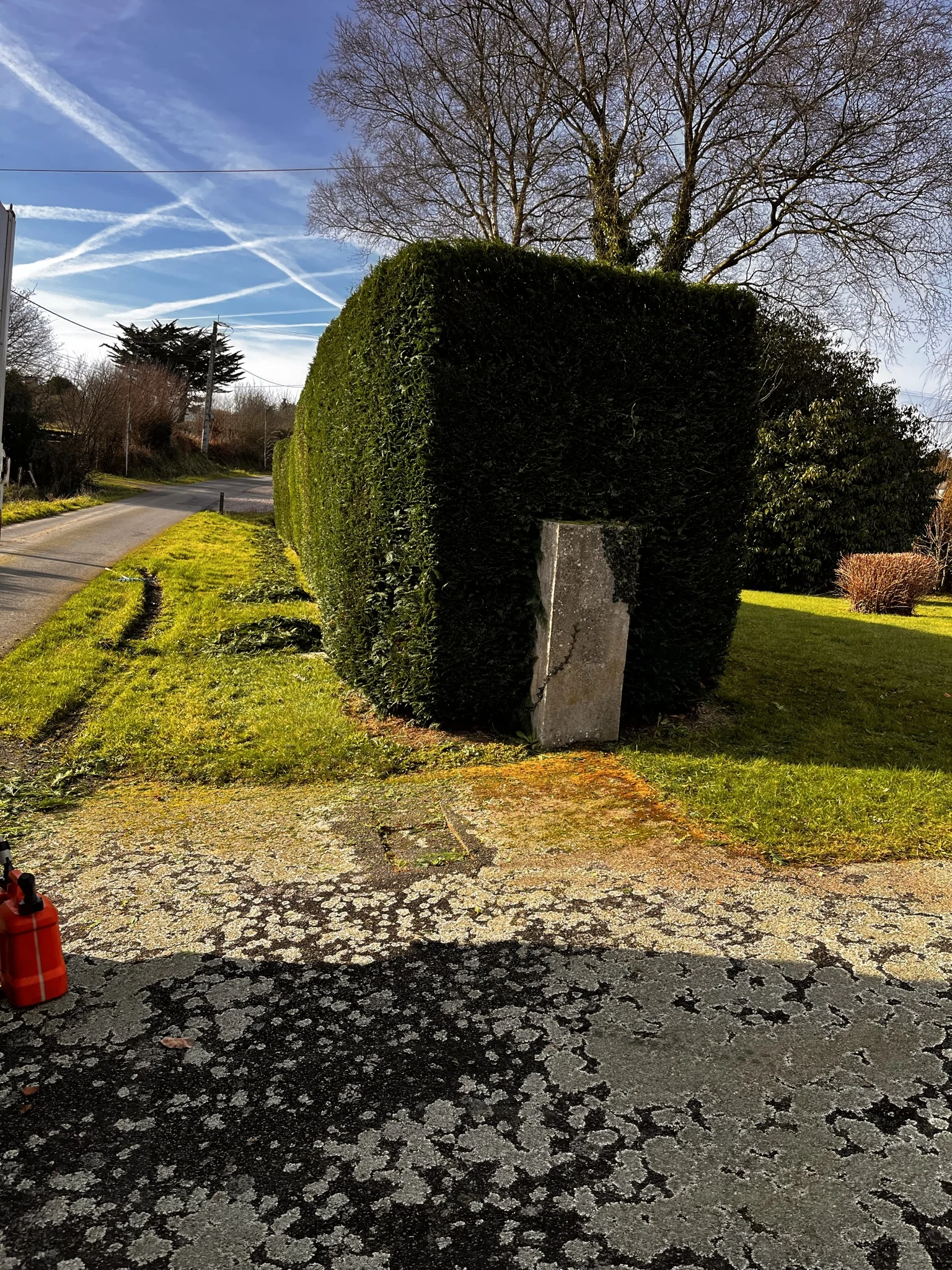 Haie sculptée dans un jardin paysager