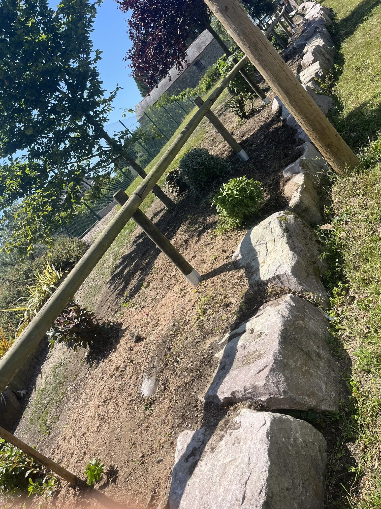 Création d’une bordure et plantation