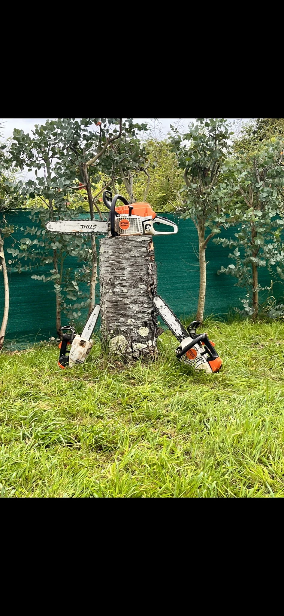 Entretien d’un jardin arboré