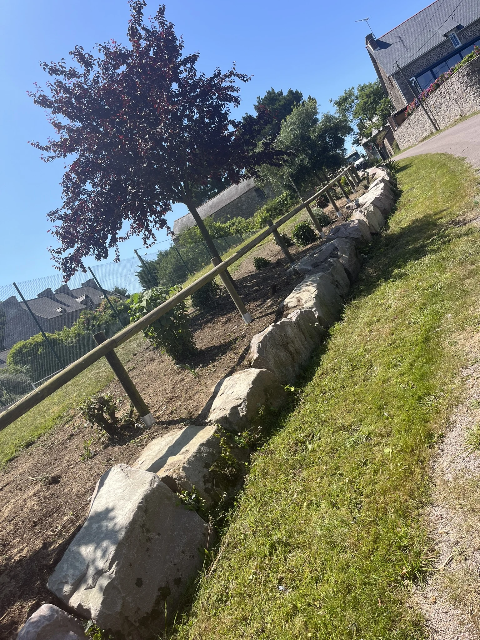 Rochers et plantations dans un jardin