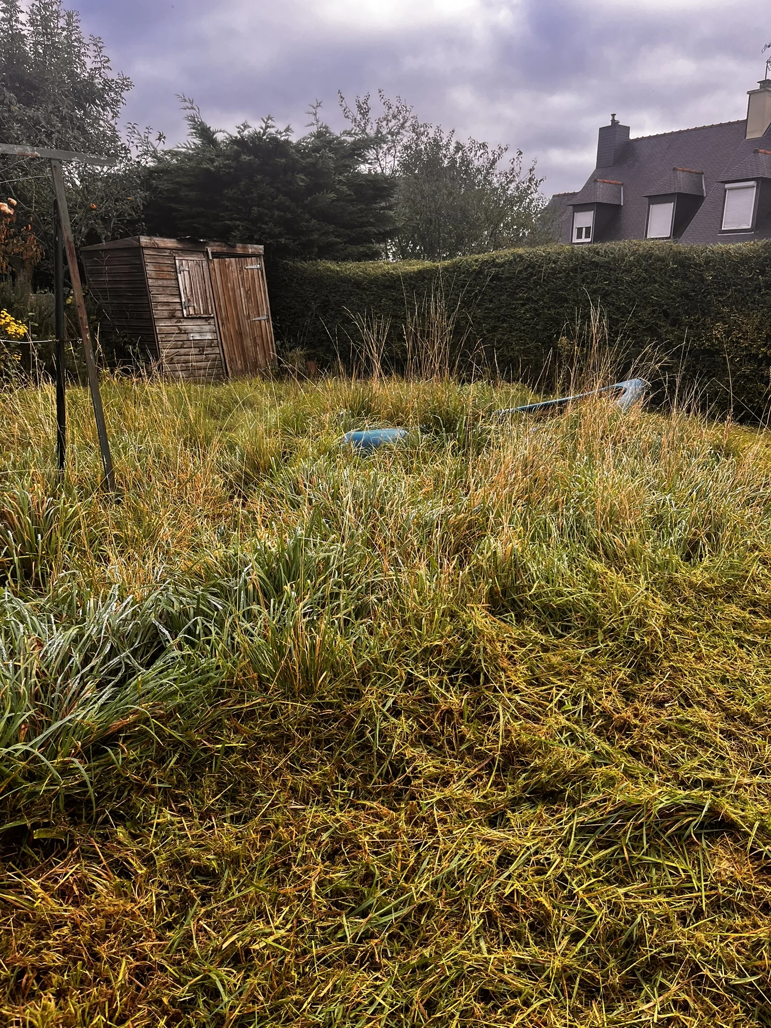 Jardin en cours d’entretien