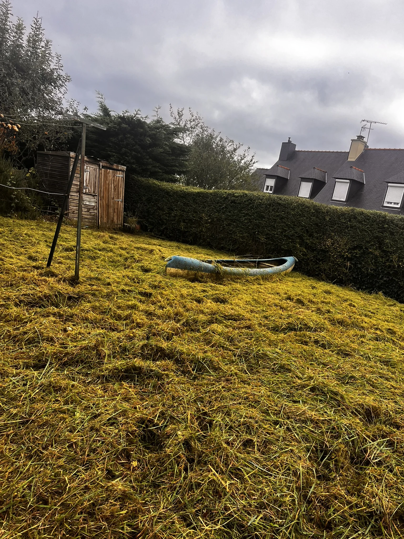 Terrain paysager et plantations